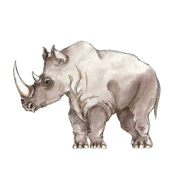 Safari Afrikanska Djur Akvarell Ikon Isolerad Vit Bakgrund — Stockfoto