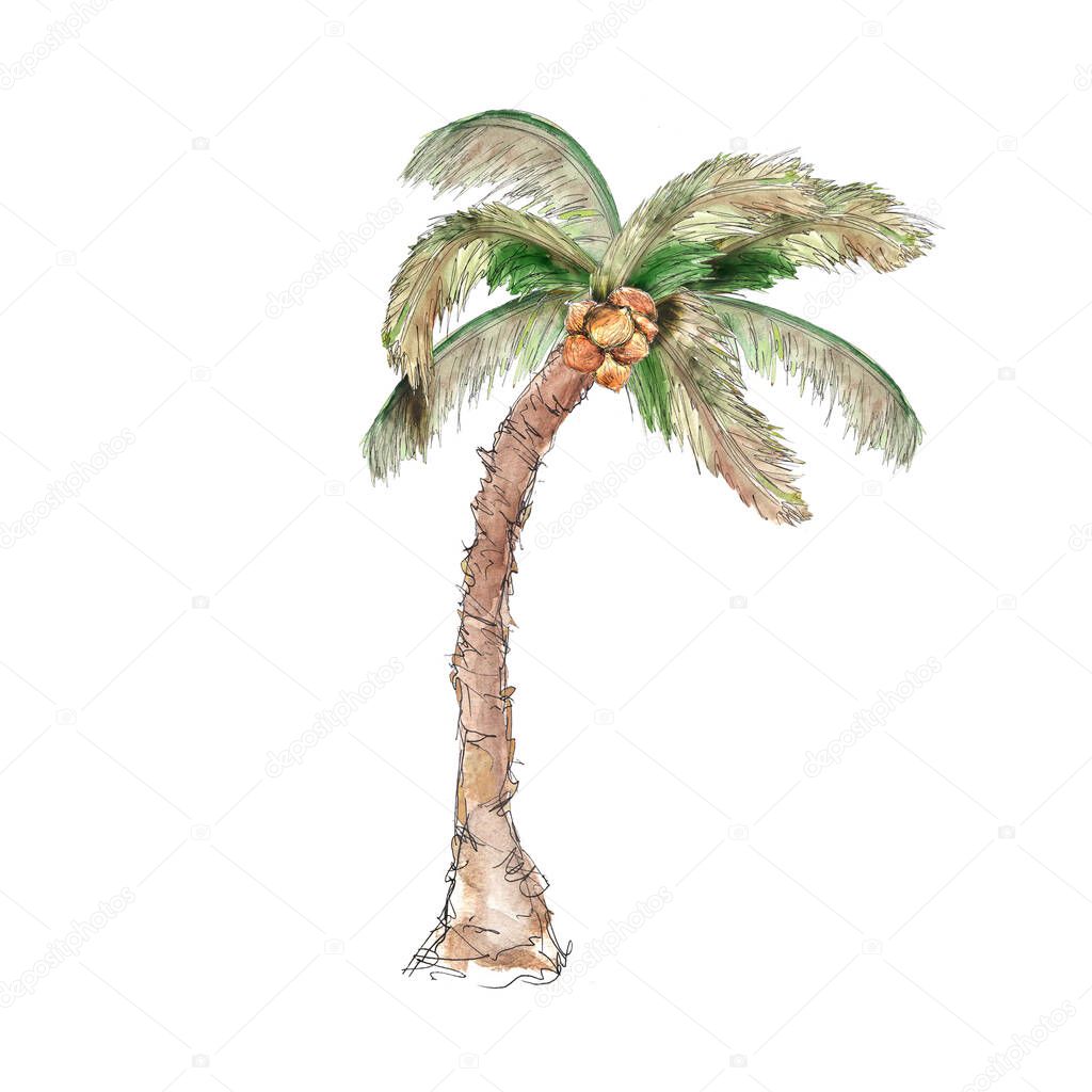 Watercolor Pirate adventure accessory icon element isolated  on white background