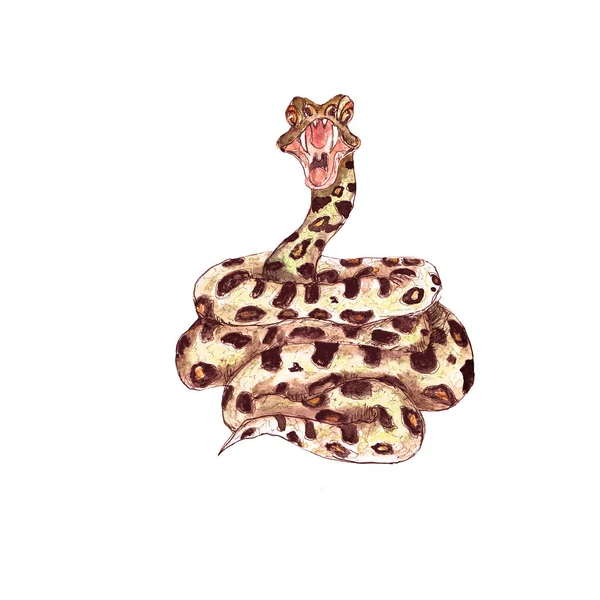 Watercolor Anaconda Jungle Snake Illustration Isolated White Background — Fotografia de Stock