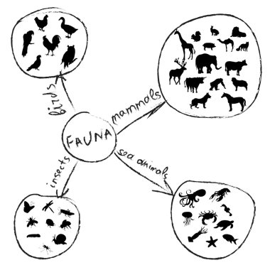 hayvanlar Infographic