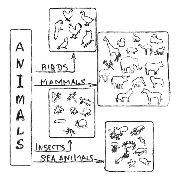 动物粉笔信息图表 — 图库照片