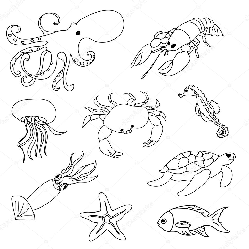 Pictures: sea animals to print | Sea animals coloring page — Stock