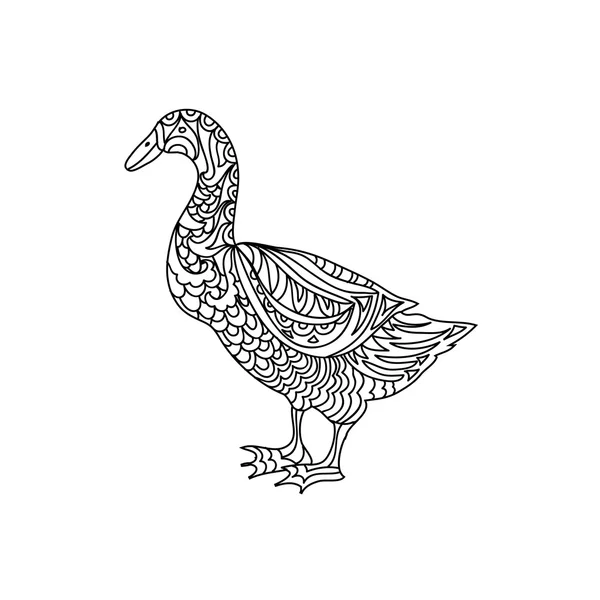 Ördek zentangle izole sayfa boyama — Stok fotoğraf