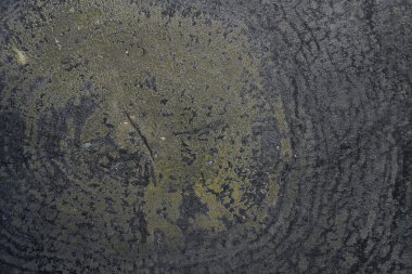 Klasik taşlaşmış ahşap doku