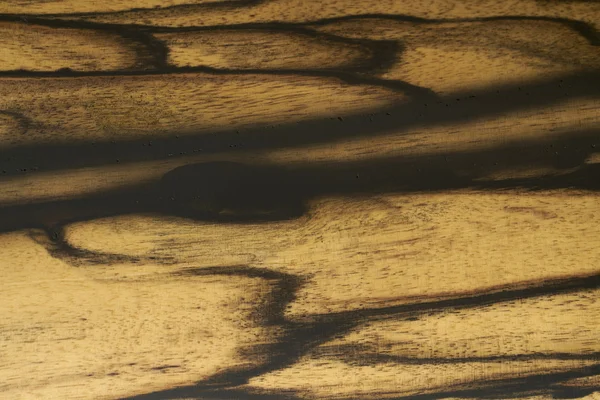 Textura clásica del patrón de madera — Foto de Stock