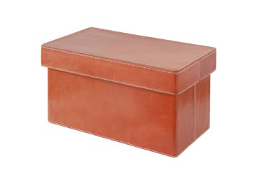 Vintage deri kutu