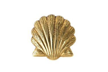 Beyaz arka plan üzerinde izole altın kabuk