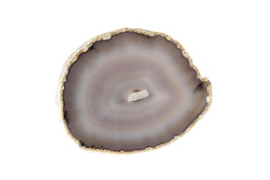 Beyaz arka plan üzerinde izole taşlaşmış ağaç coaster