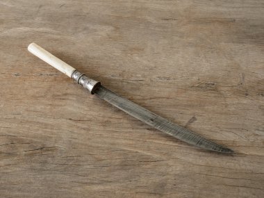 Antique knife ivory handle