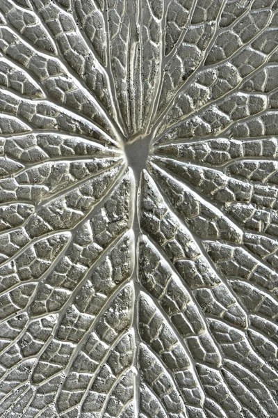 Silver lotus texture — Zdjęcie stockowe