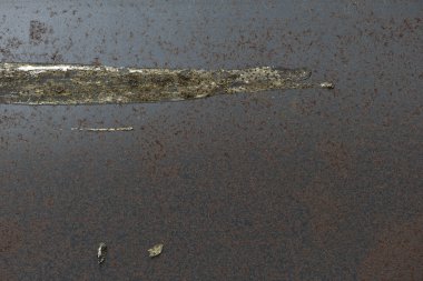 Kirli paslı demir paneli