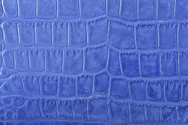 Blue crocodile leather background — Stock Photo, Image