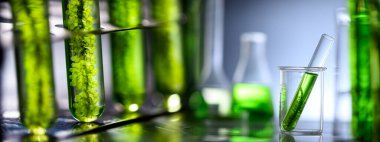 Tıp bilimi laboratuarı yosun yakıtı biyoyakıt endüstrisi, doğa alg araştırması, enerji ve sağlık tedavi biyoteknolojisi, koronavirüs covid-19 aşısı, sürdürülebilir eko