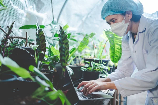 Científico Que Trabaja Invernadero Moderno Industria Cultivada Horticultura Botánica Crecimiento — Foto de Stock