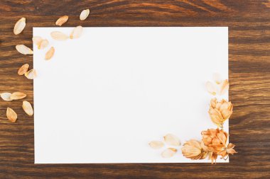 Temiz beyaz kartpostal