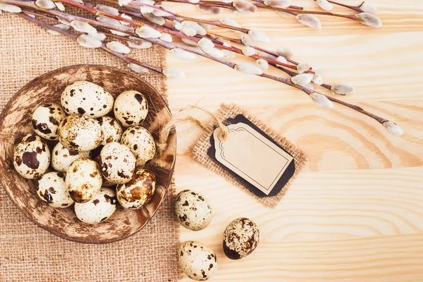 Huevos de Pascua de codorniz en el bowl — Foto de Stock