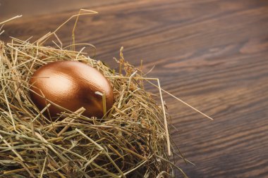 Yuvadaki tavuk yumurtası