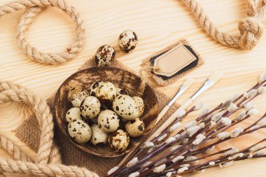 Bıldırcın yumurta kabın içinde