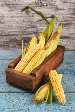 Ahşap kutusunda Ham Mısır yığını