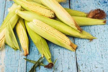 Eski mavi kurullarında ham Mısır yığını