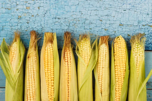 La línea de maíz crudo en las viejas tablas azules —  Fotos de Stock