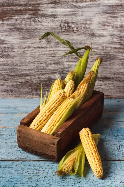 El montón de maíz crudo en la caja de madera —  Fotos de Stock