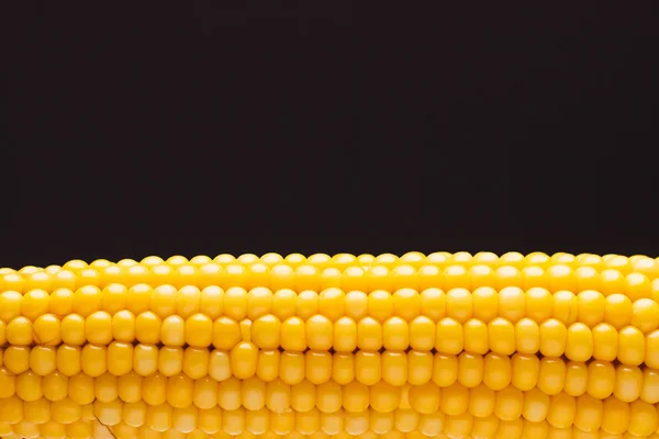 The ear of yellow boiled corn — Stock Photo, Image