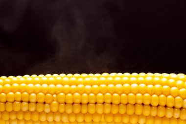 Sarı haşlanmış mısır koçanı