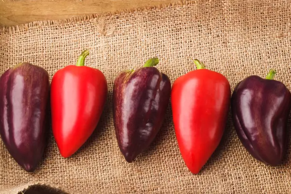 Farbige Paprika in der Holzschale — Stockfoto