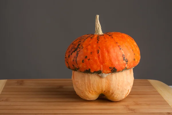 Decorative pumpkin — Stock Photo, Image