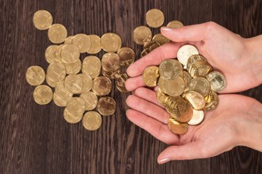 Ukrayna Hryvnia 'sı