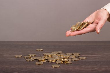 Ukrayna Hryvnia 'sı