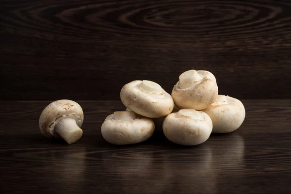 Mushrooms — Stock Photo, Image