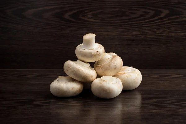 Mushrooms — Stock Photo, Image