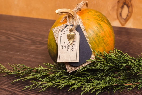 Festive pumpkin on Thanksgiving Day — Stock Photo, Image