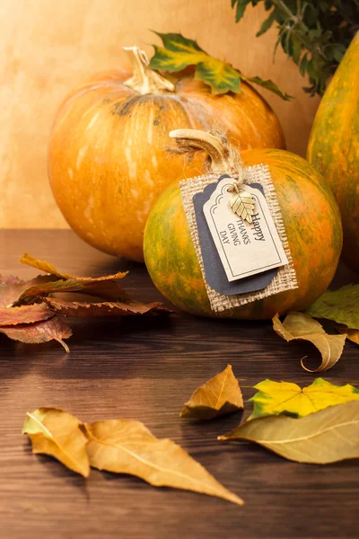 Festive pumpkin on Thanksgiving Day — Stock Photo, Image