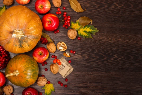 Thanksgiving Day pumpkin and apple — Stock Photo, Image