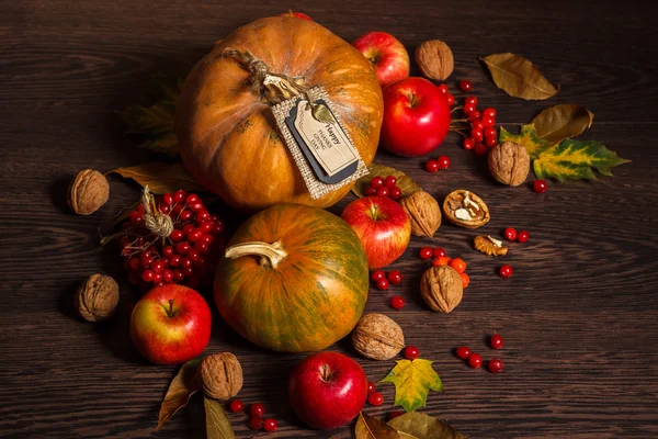 Thanksgiving Day pompoen en apple — Stockfoto
