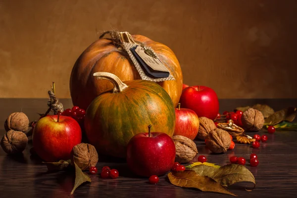 Thanksgiving Day pompoen en apple — Stockfoto