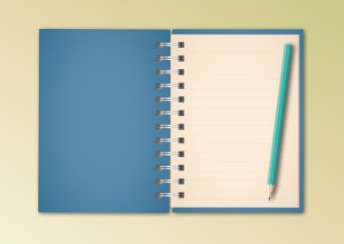 Mavi defter
