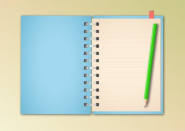 Mavi defter