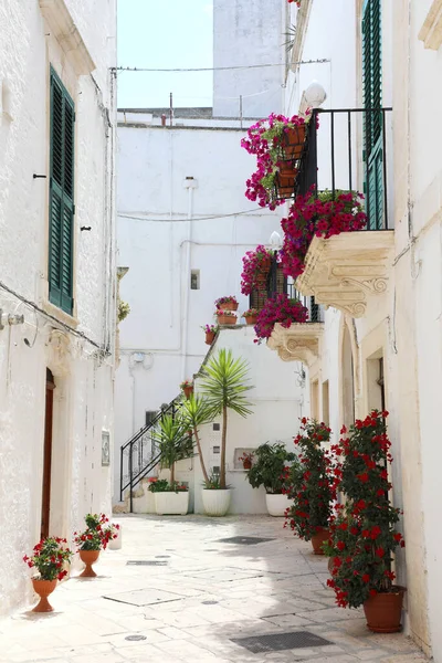 Vislumbre Uma Cidade Italiana Região Apúlia Sul Europa — Fotografia de Stock