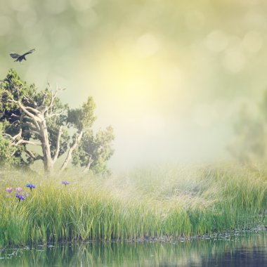 Çim ve gölet, yatay