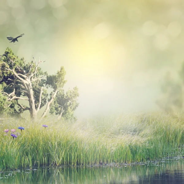 Çim ve gölet, yatay