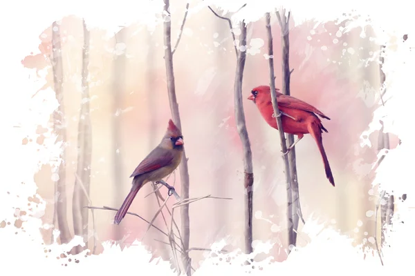 Two Northern Cardinals Watercolor — Stock Photo, Image