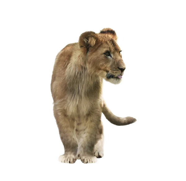 Lion Cub watercolor — Stock Photo, Image