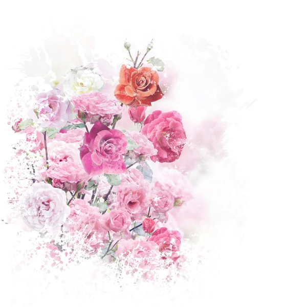 Rózsa virágok-akvarell — Stock Fotó