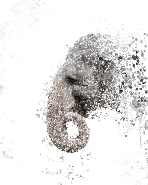 Слон портрет акварель — стокове фото