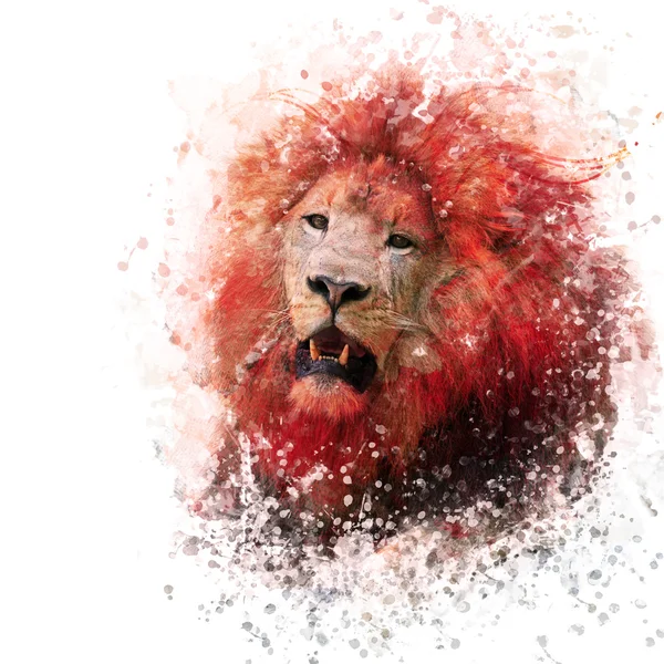 Lejonhuvud akvarell — Stockfoto