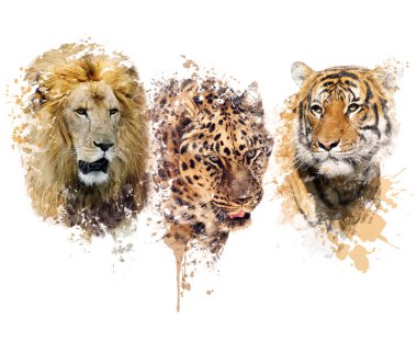 Aslan, leopar ve kaplan suluboya